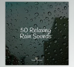 Download Pro Sound Effects Library 50 Soothing Winter Rain Sounds