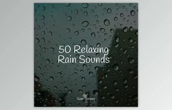 Download Pro <span class='badge badge-warning'>Sound</span> Effects <span class='badge badge-warning'>Library</span> 50 Soothing Winter Rain Sounds
