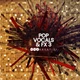Download Audentity Records Pop Vocals and FX 3
