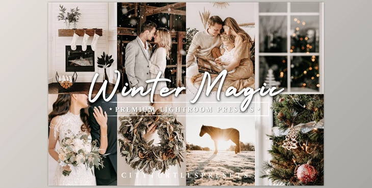 Download Natural Winter Magic LR Presets CreativeMarket - 10983799