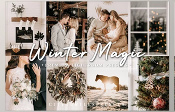 Download Natural Winter Magic <span class='badge badge-warning'>LR</span> <span class='badge badge-warning'>Presets</span> CreativeMarket - 10983799