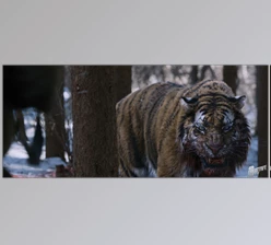 Peregrine Labs - Download Yeti v5.2.7 Maya 2024-2026 (Win)