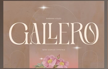 Download Gallero Vintage - Serif <span class='badge badge-warning'>Display</span> CreativeMarket 12641536