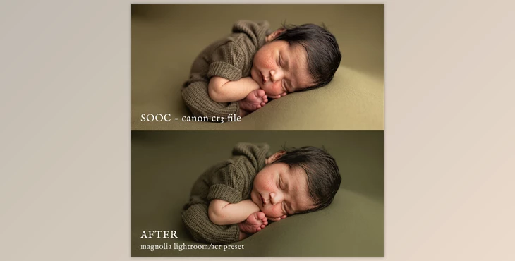 Download Jessica G. Magnolia lightroom presets