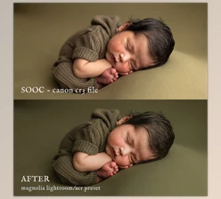 Download Jessica G. Magnolia lightroom presets