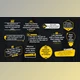Download Quotes Lower Thirds (Videohive 42970905)