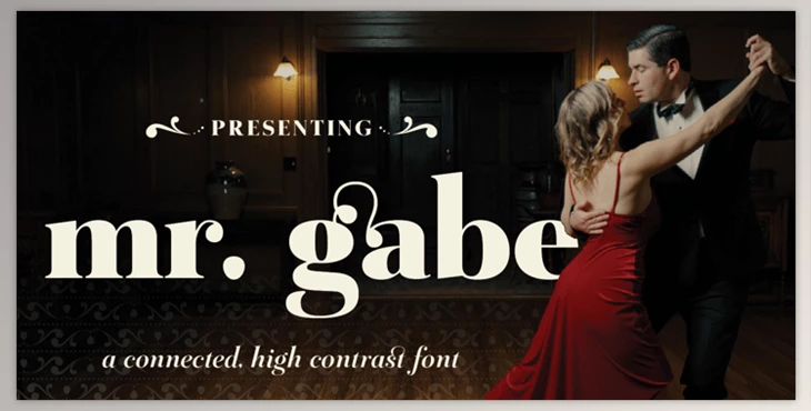 Download Mr Gabe Font Family