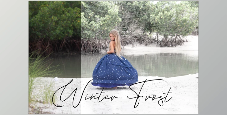 Download Sweet Soul Studio – Winter Frost Action