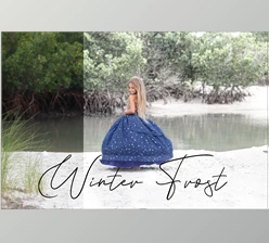 Download Sweet Soul Studio – Winter Frost Action