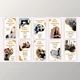 Download Digital Marketing Agency Instagram Story (Videohive 36706133) - AE Project