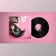 Download Vinyl Record Mockup (Videohive 43359953) - AE Project