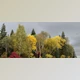 Download Grove 11