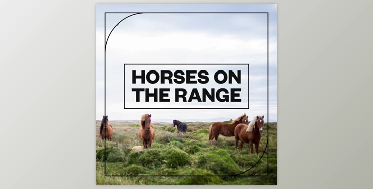 Download Blastwave FX Horses on the Range