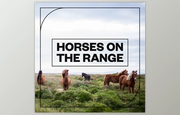 Download Blastwave <span class='badge badge-warning'>FX</span> Horses on the Range