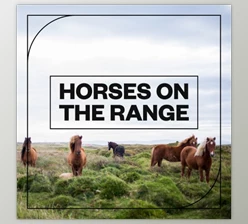 Download Blastwave FX Horses on the Range
