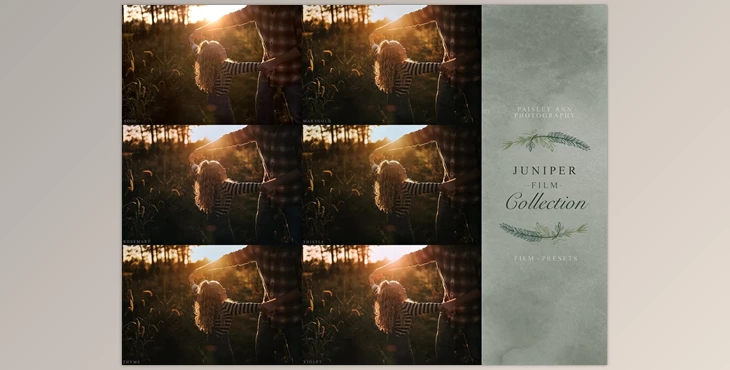 Download LIGHTROOM Presets – Paisley Ann Photography – JUNIPER FILM COLLECTION