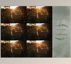 Download LIGHTROOM Presets – Paisley Ann Photography – JUNIPER FILM COLLECTION