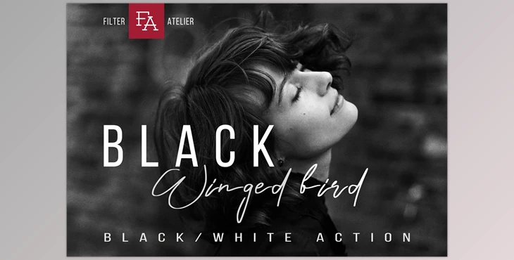 Download Black Winged Bird – Black & White Photoshop Action G574J4X