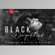 Download Black Winged Bird – Black & White Photoshop Action G574J4X