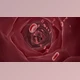 Download red blood cells in blood vessels (Videohive 43159031)