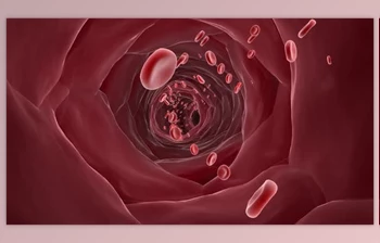 Download red blood <span class='badge badge-warning'>cells</span> in blood vessels (Videohive 43159031)