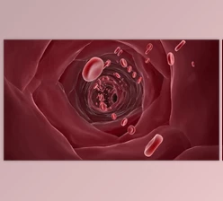 Download red blood cells in blood vessels (Videohive 43159031)