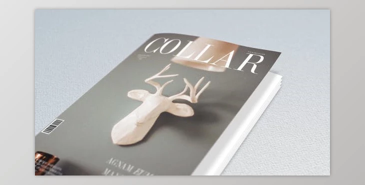 Download Book and Magazine Promo (Videohive 21314752) - AE Project