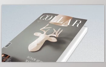 Download <span class='badge badge-warning'>Book</span> and Magazine Promo (<span class='badge badge-warning'>Videohive</span> 21314752) - AE <span class='badge badge-warning'>Project</span>