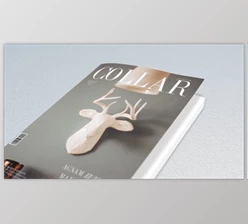 Download Book and Magazine Promo (Videohive 21314752) - AE Project
