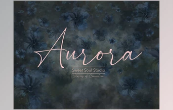 Download <span class='badge badge-warning'>Sweet</span> <span class='badge badge-warning'>Soul</span> Studio – Aurora Single Texture