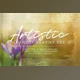 Download DesignBundles – Artistic Photography Set