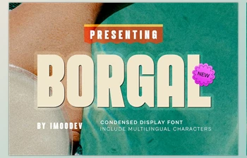 Download Borgal – Modern Minimal <span class='badge badge-warning'>Font</span>