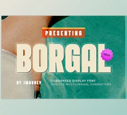 Download Borgal – Modern Minimal Font