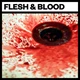 Download Big Room Sound Flesh and Blood