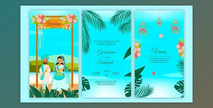 Download Traditional Punjabi Theme Wedding Invitation Story (Videohive 43750799) - AE Project