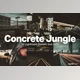 Download 20 Concrete Jungle Lightroom Presets and LUTs