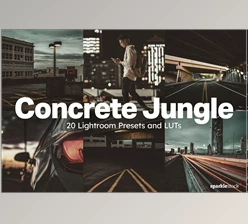 Download 20 Concrete Jungle Lightroom Presets and LUTs