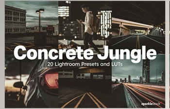Download 20 Concrete Jungle <span class='badge badge-warning'>Lightroom</span> <span class='badge badge-warning'>Presets</span> and LUTs