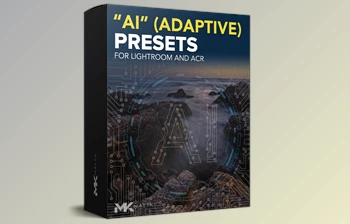 Download Lightroom AI Preset Bundle by Matt Kloskowski