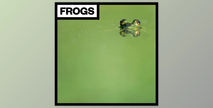 Download Big Room Sound Frogs