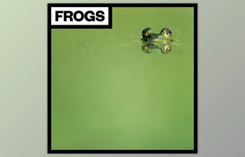 Download Big Room <span class='badge badge-warning'>Sound</span> Frogs