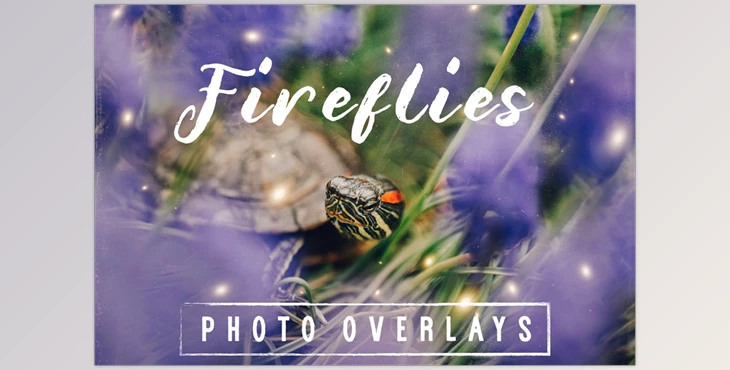 Download 30 Dreamy Firefly Photo Overlays Creativemarket - 5116254