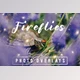 Download 30 Dreamy Firefly Photo Overlays Creativemarket - 5116254