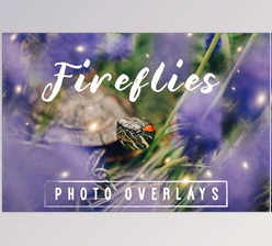 Download 30 Dreamy Firefly Photo Overlays Creativemarket - 5116254