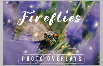 Download 30 Dreamy Firefly Photo <span class='badge badge-warning'>Overlays</span> Creativemarket - 5116254