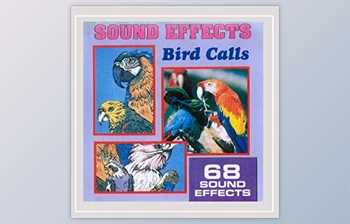 Download Anton Hughes <span class='badge badge-warning'>Sound</span> <span class='badge badge-warning'>Effects</span> Bird Calls