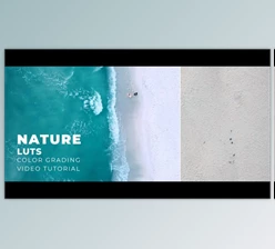 Download Nature LUTs (Videohive 43420641)