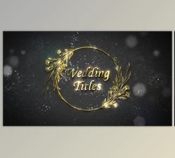 Download Floral Wedding Titles (Videohive 44153486) - AE Project
