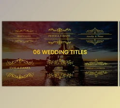 Download Golden Fonts Wedding Titles (Videohive 44200705) - AE Project