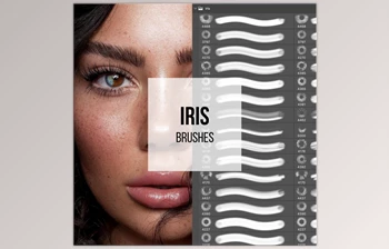 Download <span class='badge badge-warning'>Tamara</span> <span class='badge badge-warning'>Williams</span> – Eye Brush Set for Photoshop & Procreate